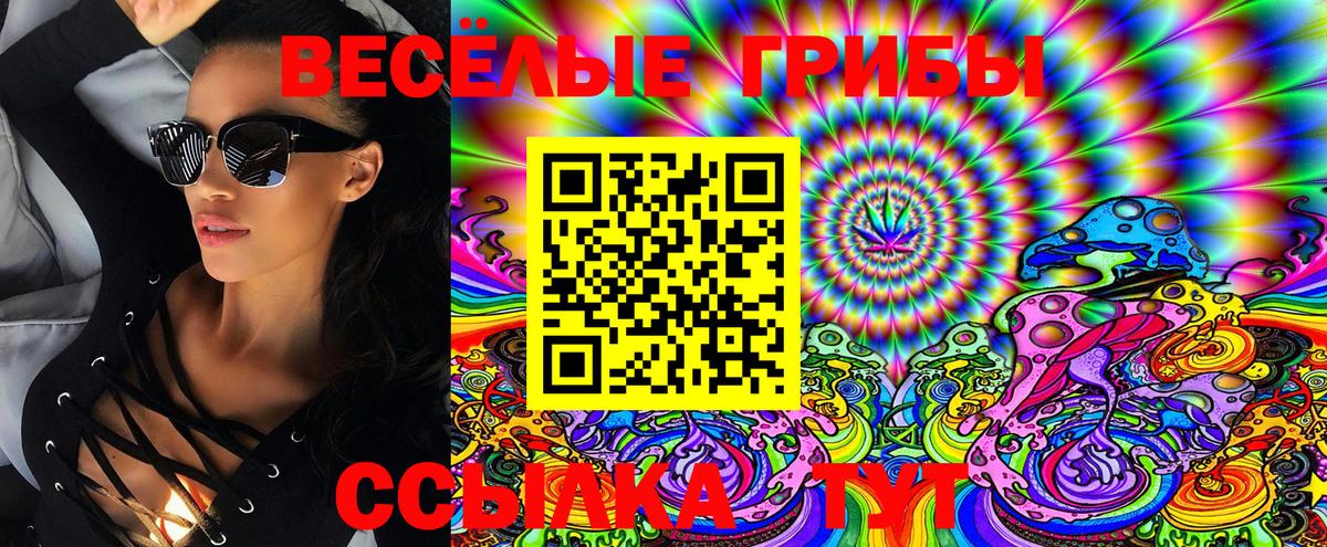 Псилоцибиновые грибы GOLDEN TEACHER  Вход с VPN  Россия  Псилоцибиновые грибы Psilocybine cubensis 