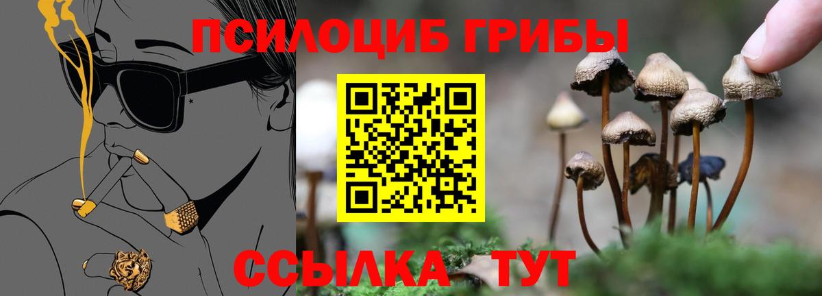 Галлюциногенные грибы GOLDEN TEACHER Россия